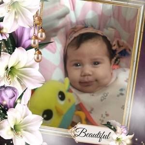 Meet your Posher, Terri